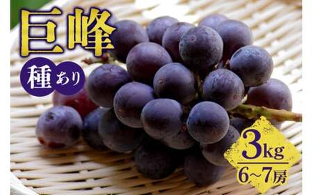 y 2026N s\ z  3kg i 킠 j vƂԂǂ 6[ ` 7[ Ԃǂ uhE L@ 엿 nEX ͔| Y ʕ   t[c 3L 8   { i 錧Y Yn Y