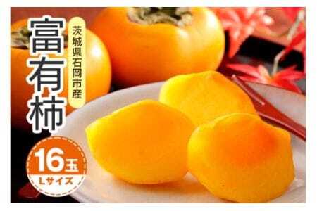 [ 2025年 先行予約 ] 富有柿 L 16玉(鈴木柿園) 柿 甘い柿 かき 富有カキ 甘い 果物 フルーツ くだもの カキ 富有かき 秋 旬 甘柿 糖度 贈答用 贈答品 ギフト 贈り物 品種 ブランド 11月 12月 発送 産地直送 農家直送 産直 茨城県 石岡市 (A08-001)