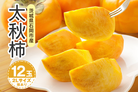 y 2026N s\ z H` 2L 12ʁi؊`j ` Â` H  JL Â ʕ t[c  JL H H { Ê` x p i Mtg 蕨 i uh 10