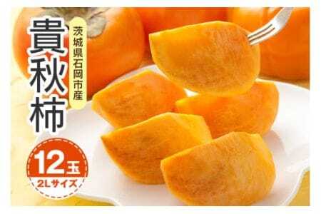 [ 2025年 先行予約 ] 貴秋柿 2L 12玉 (鈴木柿園) 柿 甘い 糖度高い 貴秋かき 大玉 カキ 甘い 果物 フルーツ くだもの カキ かき 秋 旬 甘柿 贈答用 贈答品 ギフト 贈り物 品種 ブランド 10月 11月 発送 産地直送 農家直送 産直 茨城県 石岡市 (A08-004)