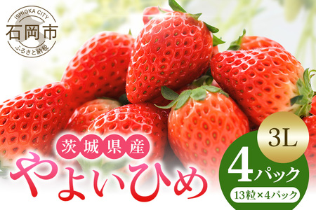 y2026Ns\z悢Ђ 3L  C`S  13 4pbN 1kg ȏ Y ʕ t[c  1 2 3  ~ { Yn _ƒ Y Â fU[g XC[c ƒp  
