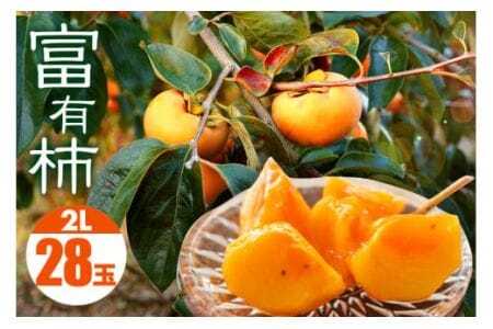 y 2025N s\ z xL` 2L 28 (14×2i) ʎ ` Â`  xLJL Â ʕ t[c  JL xL H { Ê` x p i Mtg 蕨 i u