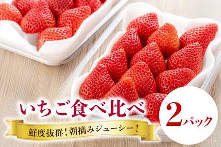 y 2026N s\ z { Hה׃Zbg 2p RafƂׂ[ӂ[ C`S  2pbN Y ʕ t[c  1 2 3  ~ { Yn _ƒ Y Â fU[g