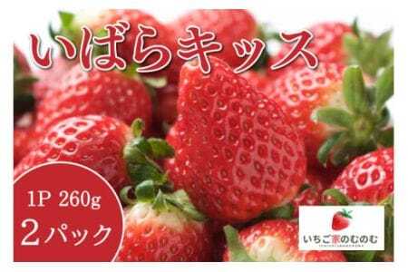 いちご いばらキッス 2p いちご家のむのむ イチゴ 苺 2パック 国産 果物 フルーツ くだもの 1月 2月 発送 冬 旬 産地直送 農家直送 産直 甘い デザート スイーツ 家庭用 贈答 贈答用 茨城 茨城県 石岡市 (A28-002)