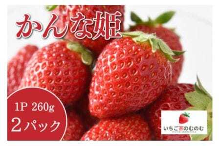 いちご かんな姫 2p いちご家のむのむ イチゴ 苺 2パック 国産 果物 フルーツ くだもの 1月 2月 3月 発送 冬 旬 産地直送 農家直送 産直 甘い デザート スイーツ 家庭用 贈答 贈答用 茨城 茨城県 石岡市 (A28-004)