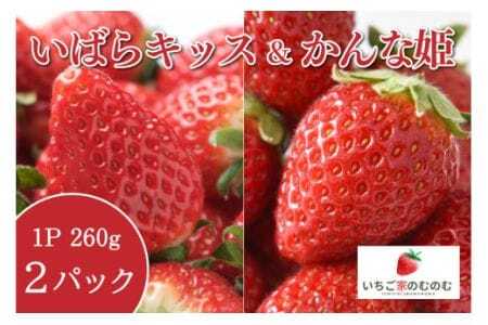 いちご いばらキッス 1p & かんな姫 1p 計2 いちご家のむのむ イチゴ 苺 4パック 国産 果物 フルーツ くだもの 1月 2月 発送 冬 旬 産地直送 農家直送 産直 甘い デザート スイーツ 家庭用 贈答 贈答用 茨城 茨城県 石岡市 (A28-006)