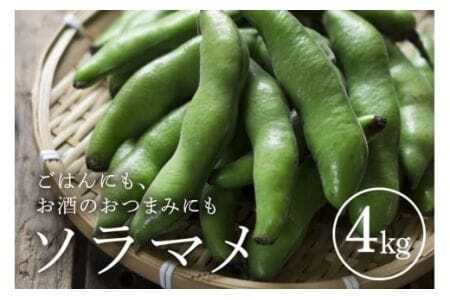 ソラマメ 4kg そら豆 空豆 産地直送 野菜 冷蔵便 新鮮 国産 茨城県産 季節限定 フレッシュ ベジタブル 豆 まめ そらまめ 農園直送 国産 家庭用 ギフト おつまみ 茨城県 石岡市 (A33-001)