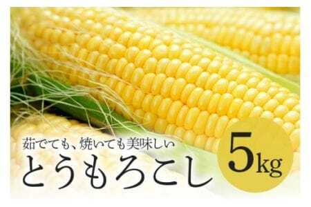 トウモロコシ 5kg とうもろこし わくわくコーン 白 黄 夏野菜 夏 旬 常温便 国産 茨城県産 野菜 グリーン ベジタブル 茹で 焼き 調理用 家庭用 業務用 農園直送 産地直送 茨城県 石岡市 (A33-003)