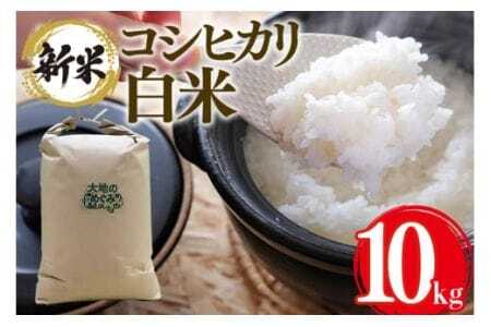 [令和7年産] お米 ( コシヒカリ) 白米 10kg お米 白米 米 おこめ ブランド米 こしひかり 10キロ 国産 単一原料 コメ こめ ご飯 銘柄米 茨城県産 茨城 産直 産地直送 農家直送 お取り寄せ ごはん 冷めても美味しい 甘み 家庭用 贈答用 茨城県 石岡市 (B01-004)