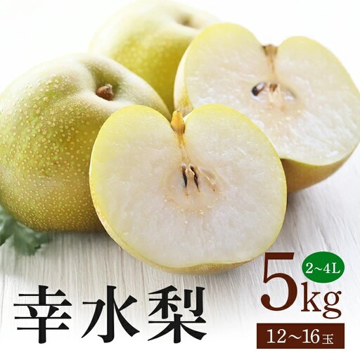 幸水梨 箱込約 5kg(JA新ひたち野)梨 約 12玉 〜 16玉 (B01-009)