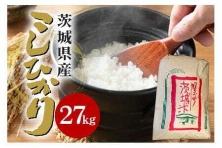 yߘa6NYzΉsYRVqJ 27kg 10    Ђ   RVqJ uh  Y ͂  R  Mtg 蕨 ٓ ٓ ɂ