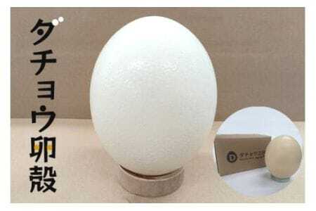 ダチョウ卵殻 エッグアート 工作 ダチョウ 卵殻 たまご殻 卵から 卵の殻 大きい ビッグ サイズ ダチョウ王国 アート 手芸 作品 自由研究 茨城県 石岡市 (C05-019)