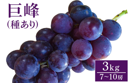 y 2026N s\ z  3kg ( 킠) JcԂǂ 7[ ` 10[ Ԃǂ uhE Y ʕ   t[c 3L 8 { 9   H { i 錧Y Yn Y _ƒ 