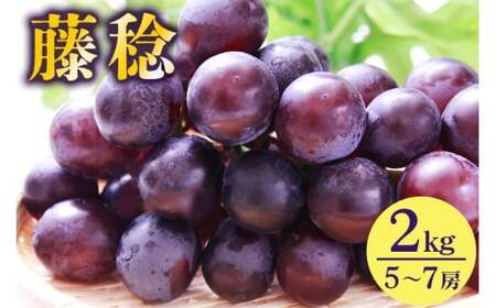 y 2026N s\ z  2kg JcԂǂ 5[ ` 7[ Ԃǂ uhE Y ʕ   t[c 2L 8 { 9   H { i 錧Y Yn Y _ƒ ① 錧