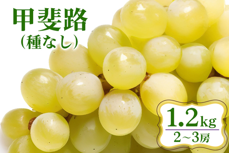 [ 2026年 先行予約 ] 甲斐路 ( 種なし ) 1.2kg 開田ぶどう園 2房 〜 3房 ぶどう ブドウ 国産 果物 くだもの 葡萄 フルーツ 1.2キロ 1kg 以上 9月 発送 夏 秋 旬 品種 茨城県産 産地直送 産直 農家直送 冷蔵 茨城県 石岡市 (A01-014)