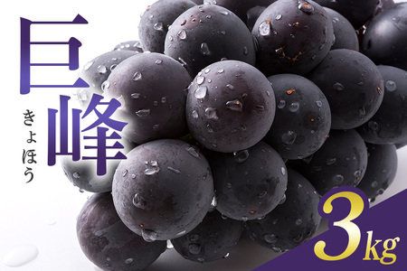 y 2025N s\ z  3kg ( 킠 ) ΓcԂǂ 6[ ` 12[ Ԃǂ uhE Y ʕ   t[c 3L 9 10  H { i 錧Y Yn Y _ƒ ① 