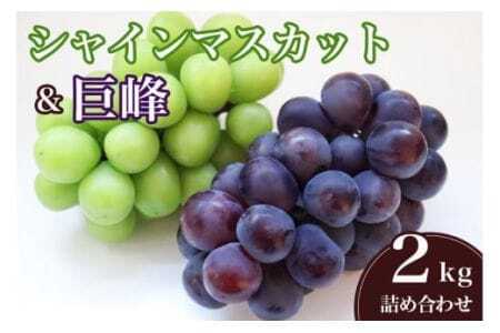 y 2025N s\ z VC}XJbg   ( 킠 ) 2kg ΓcԂǂ Ԃǂ l uhE Y ʕ  t[c 2L 9 10  H { i 錧Y Yn Y _ƒ