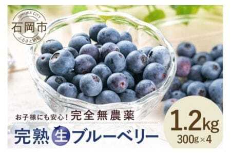 y 2026N s\ zCɈ u[x[ 1.2kg  ( 300g 4pbN ) _ ͔|Ԓ sgp ʕ t[c VN 1.2L E Y Yn _ƒ Y    X