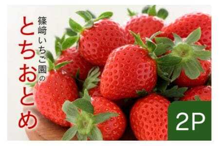 y2026Ns\zƂƂ2P Ԍ ʌ Â 傫 C`S t  { t[c ʕ fU[g Mtg p Y ̂ꂽ VN  Yn 錧 Ήs (A32-002)