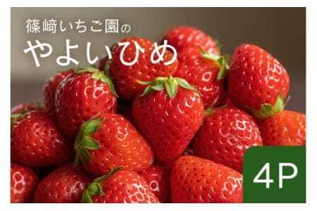 y2026Ns\z悢Ђ4P Ԍ ʌ Â 傫 C`S t  { t[c ʕ fU[g Mtg p Y ̂ꂽ VN  Yn 錧 Ήs (A32-007)