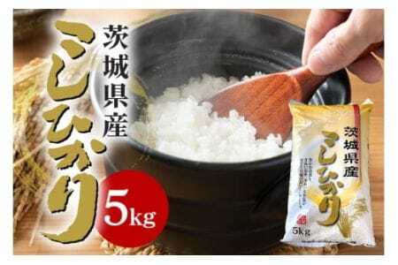 [令和6年産]石岡市産コシヒカリ 5kg 精米 限定20袋 米 お米 こしひかり 白米 こめ コシヒカリ 5.0kg ブランド米 取り寄せ 特産 ごはん ご飯 コメ お取り寄せ ギフト 贈り物 お弁当 弁当 おにぎり ふっくら ツヤツヤ 甘い 農家直送 産地直送 数量限定 国産 茨城県 石岡市 5.0キロ 贈答 (B05-001)