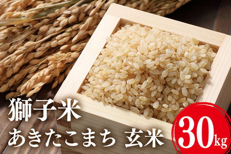 お米 30k ① Amazon.co.jp: 【玄米】 特別栽培米 秋田県産サキホコレ30kg