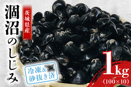 涸沼産 冷凍しじみ 大粒 1kg(100g×10p)[石岡市・水戸市共通返礼品] しじみ シジミ 蜆 国産 小分け 砂抜き不要 冷凍 冷凍保存 海鮮 貝 魚貝類 魚介類 魚貝 魚介 味噌汁 みそ汁 酒蒸し おつまみ しじみ汁