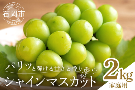 【ご家庭用 数量限定】シャインマスカット家庭用2kg 種なし ぶどう ブドウ 国産 果物 葡萄 種無し フルーツ 不揃い 家庭用 秋 旬 品種 茨城県産 産直 農家 直送 冷蔵 茨城県 石岡市 A02-020