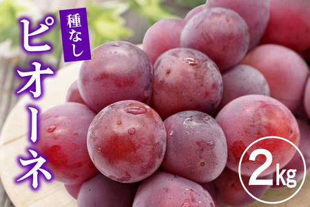 sI[l2kg Ԃǂ uhE  ʕ  t[c A01-018