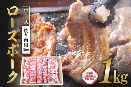 [Y|[N@[XĂpi3mmj1kgy錧ʕԗi / 錧Yz C09-013