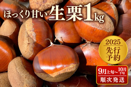 y2025s\z錧Y I1kg A04-008