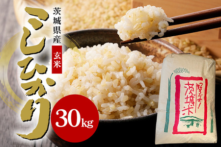 yߘa6NYzΉsYRVqJ30kg  30   Ђ  RVqJ uh  Y ͂  R  Mtg 蕨 ٓ ٓ ɂ ӂ