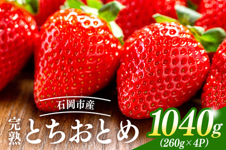 y2026Ns\zniƂƂ߁j   C`S t[c ʕ  錧 Ήs A40-001