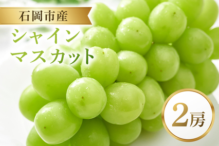 VC}XJbg 2[ }XJbg Ԃǂ uhE t[c ʕ  錧 Ήs A38-002