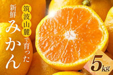 }gR[ňVN~J5kg ݂ ~J t[c ʕ  錧 Ήs A42-001