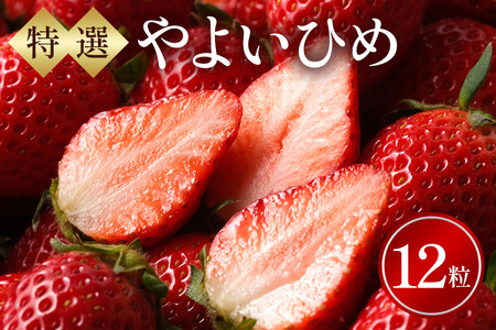 I12ʁ@悢Ђ  C`S t[c ʕ 錧 Ήs A32-019