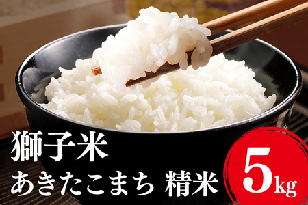 yߘa7NYzq ܂ 5kg     錧 Ήs B02-061