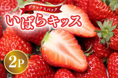 y2026Ns\zfbNXpbN ΂LbX 2p  C`S  ʕ t[c  錧 Ήs A32-021