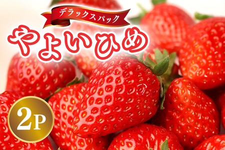 y2026Ns\zfbNXpbN 悢Ђ 2p  C`S  ʕ t[c  錧 Ήs A32-022