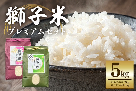 �y�ߘa7�N�Y�z���q�Č���v���~�A���Z�b�g�i����10�Z�b�g�j�v���~�A5 ���� �� 5kg �H�ה�� �Z�b�g �Y�n���� ��錧 �Ή��s B02-085