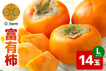 y2026Ns\zxL` L14ʁi1ij ` JL  t[c ʕ  Yn 錧 Ήs A44-001