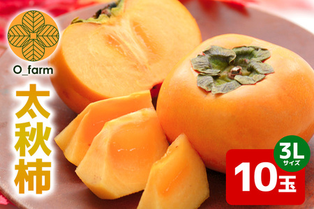 y2026Ns\zH` 3L 10ʁi1ij ` JL  t[c ʕ  Yn 錧 Ήs A44-004