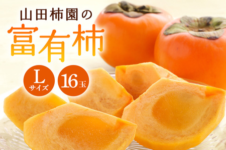 [2026年先行予約]富有柿 L 16玉 柿 カキ かき フルーツ 果物 くだもの 産地直送 茨城県 石岡市