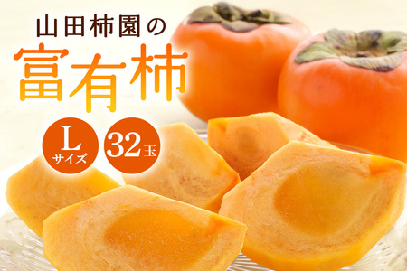 [2026年先行予約]富有柿 L16玉 2段箱(32玉) 柿 カキ かき フルーツ 果物 くだもの 産地直送 茨城県 石岡市