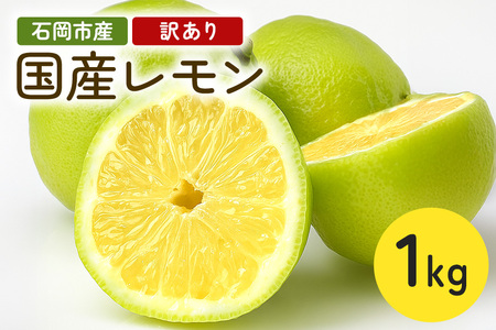 }gR[ňtbV@1kgi󂠂j 1kg A s 󂠂 錧 Ήs B03-008