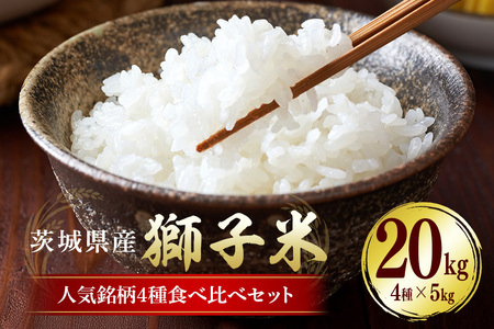 yʌzqĐlC4@Hה׃Zbg  Zbg RVqJ ~L[NC[ ܂ ɂ̂߂ Hה 20kg 錧 Ήs B02-086