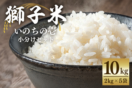 獅子米 いのちの壱 小分け セット 10kg (2kg×5袋) 米 お米 精米 白米 ご飯 ごはん 産地直送 国産 茨城県 石岡市