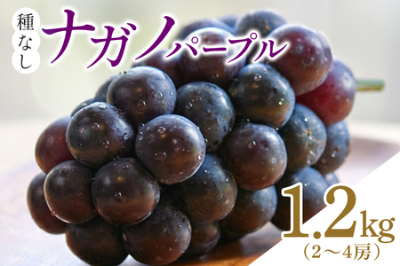 [2026年先行予約]ナガノパープル(種なし)1.2kg(2〜4房) 葡萄 ブドウ フルーツ 果物 くだもの 産地直送 茨城県 石岡市