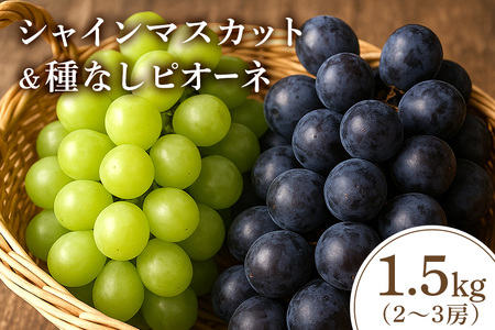 [2026年先行予約]シャインマスカットとピオーネ(種なし)1.5kg(2〜3房) 葡萄 ブドウ フルーツ 果物 くだもの 産地直送 茨城県 石岡市