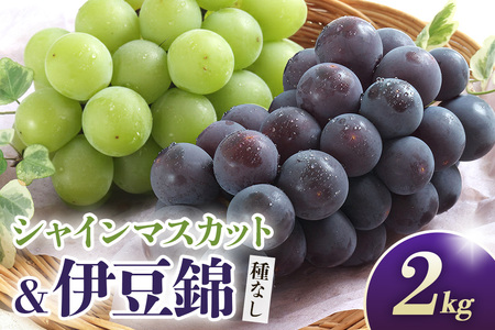 [2026年先行予約]シャインマスカットと伊豆錦(種なし)2kg(シャインマスカット2房、伊豆錦2房) 葡萄 ブドウ フルーツ 果物 くだもの 産地直送 茨城県 石岡市